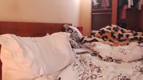 Snapshot of andrasweetie chatting on 01-27-25, 08:29 Andra online show from 01-27-25, 08:29