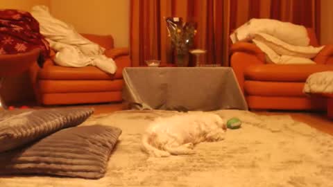 Snapshot of andrasweetie chatting on 11-18-25, 10:25 Andra online show from 11-18-25, 10:25