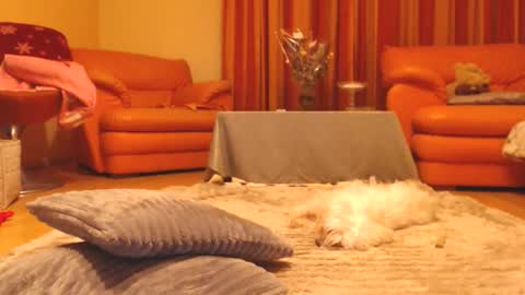 Snapshot of andrasweetie chatting on 12-13-25, 07:53 Andra online show from 12-13-25, 07:53