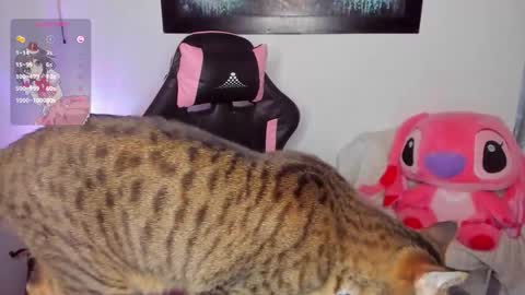 Snapshot of andreag_ chatting on 03-08-26, 07:01 Andrea online show from 03-08-26, 07:01