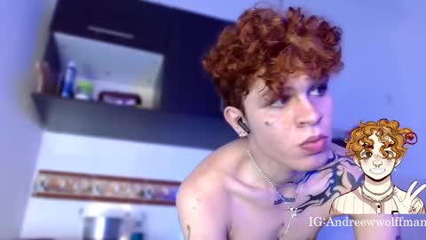 Snapshot of andreewwolffman chatting on 01-14-25, 04:15 Andrew online show from 01-14-25, 04:15