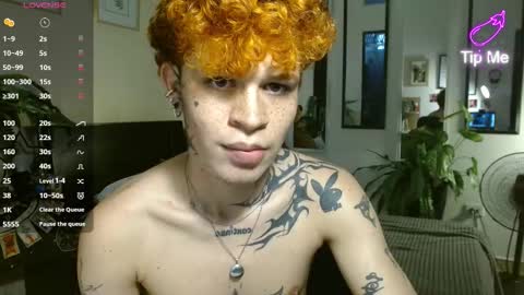 Snapshot of andreewwolffman chatting on 03-01-26, 03:03 Andrew online show from 03-01-26, 03:03