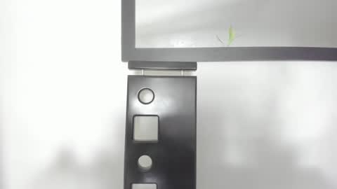 Isa  --------- online show from 01-11-25, 11:13