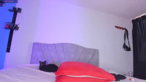 Snapshot of andy_naughty1 chatting on 05-19-26, 12:00 Andy online show from 05-19-26, 12:00