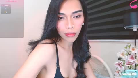 SENORITA online show from 12-14-25, 02:22