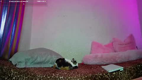   online show from 05-13-26, 05:49