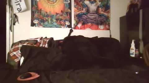 Angel and Mark online show from 02-08-26, 05:33