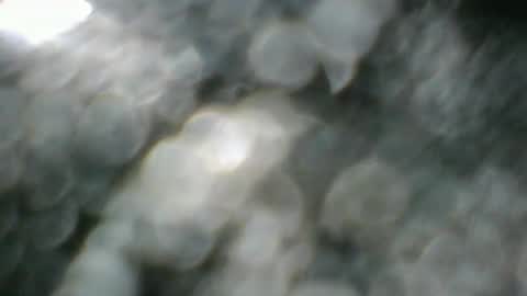 angeltta69 online show from 04-08-26, 06:35