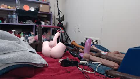 Twitter at animegamergrl. No vids for sale on Chaturbate. online show from 11-26-25, 09:49