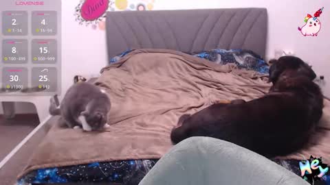 Snapshot of anna_ana chatting on 01-08-26, 06:10 Anadirectgirl online show from 01-08-26, 06:10