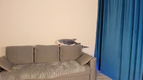 Snapshot of anna_miuu chatting on 12-05-24, 05:37 anna miuu online show from 12-05-24, 05:37