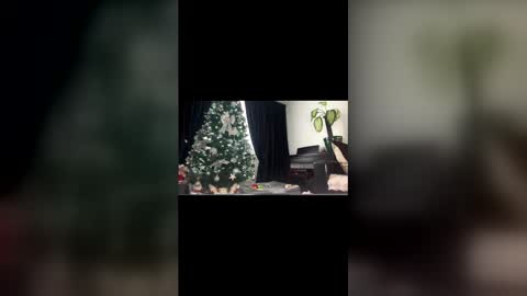 anna_nobel online show from 12-14-25, 11:04