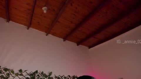 annie_barozzi online show from 01-16-25, 01:36