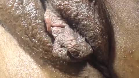 Anny online show from 12-21-25, 05:53