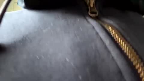 Snapshot of anonomousloser chatting on 01-06-25, 02:36 anonomousloser online show from 01-06-25, 02:36