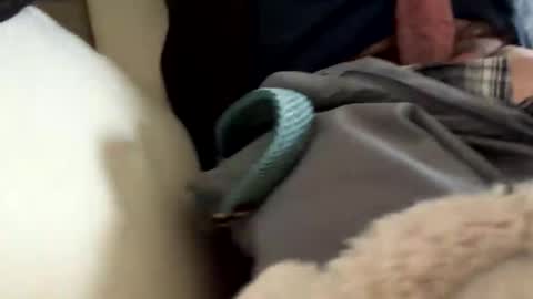 anonomousloser online show from 03-19-26, 02:43