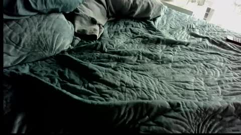 Anonpov couple online show from 02-28-26, 12:55