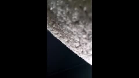 anonymous195100 online show from 05-18-26, 03:02