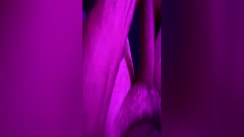anonymous82389 online show from 06-11-26, 11:58