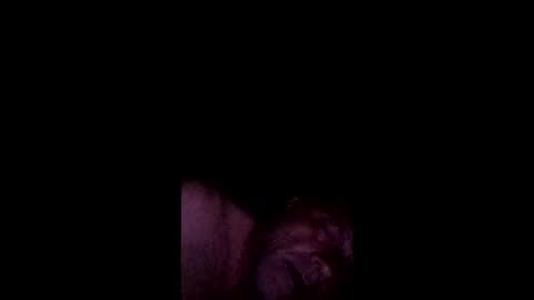 anthony9168 online show from 05-16-26, 08:55