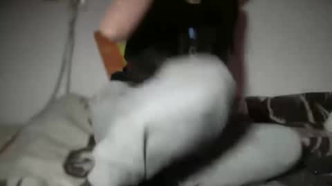 aphr0dite22 online show from 01-06-26, 03:16