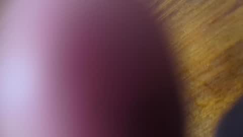 Snapshot of apollodarkmn chatting on 07-24-26, 04:10 apollodarkmn online show from 07-24-26, 04:10