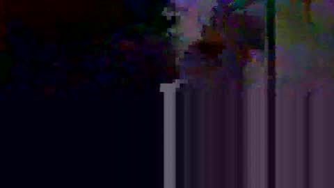 apolosimanu38 online show from 05-10-26, 08:58