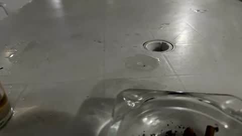 appelsapje4 online show from 11-24-25, 12:43