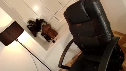 ARABELLA online show from 04-01-26, 02:12