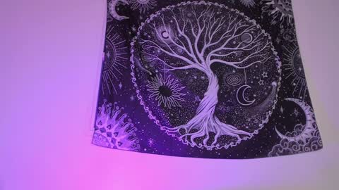 Snapshot of aramjones chatting on 01-27-25, 06:41 Aram 3 online show from 01-27-25, 06:41