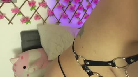 aria_silk online show from 04-20-26, 06:31