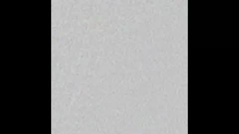 Arianna Collins online show from 10-24-25, 11:39