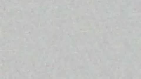 Arianna Collins online show from 03-31-26, 11:21