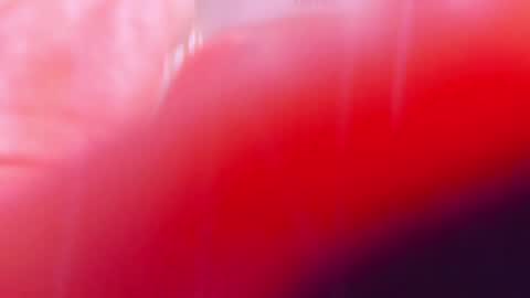 Snapshot of ariellablonde chatting on 03-10-25, 12:40 AriellaBlonde online show from 03-10-25, 12:40