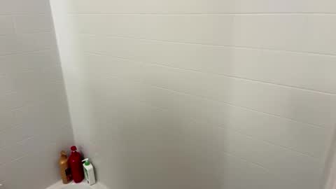 Snapshot of arnicbod chatting on 10-20-25, 04:29 arnicbod online show from 10-20-25, 04:29