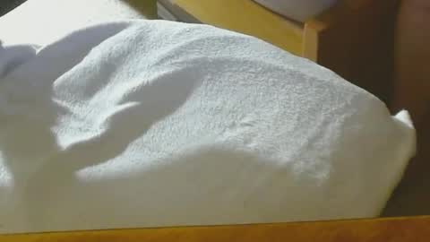 Snapshot of arnie12 chatting on 12-22-24, 08:47 Arnie  online show from 12-22-24, 08:47