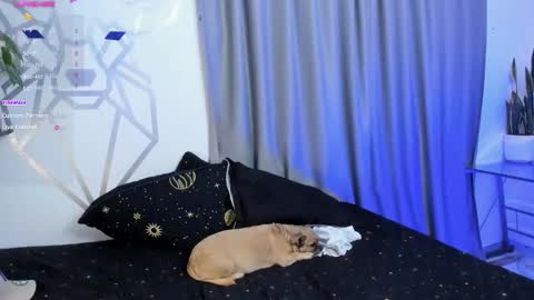 Aron Santoro online show from 01-12-25, 04:31