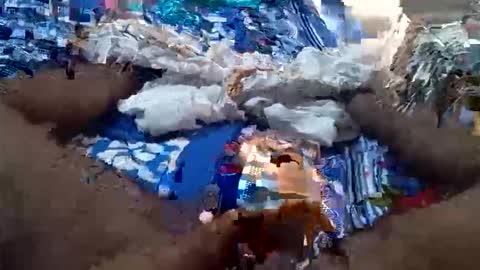 arshkhant987 online show from 09-16-25, 05:41