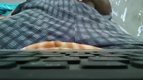 Snapshot of art_max99xxx chatting on 01-11-25, 11:13 art_max99xxx online show from 01-11-25, 11:13