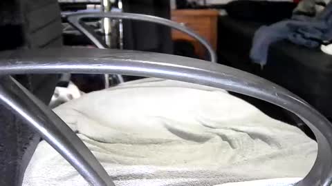 arucard_80 online show from 09-16-25, 07:48