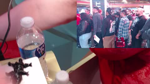 Snapshot of ashbashgirl chatting on 01-19-26, 04:05 SweetAshCheeks online show from 01-19-26, 04:05