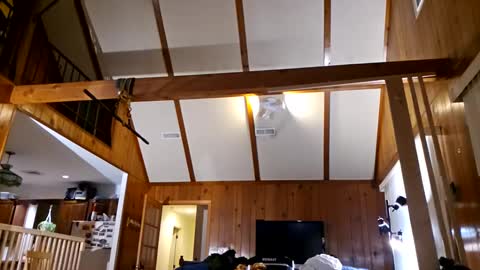 Ashelynn Grey online show from 02-27-25, 02:21