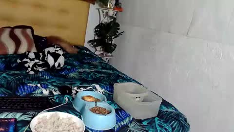 Snapshot of asianladyboy888 chatting on 11-24-25, 04:07 asianladyboy888 online show from 11-24-25, 04:07