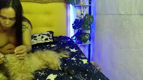 asianladyboy888 online show from 03-11-26, 04:57