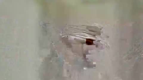 asifzamma online show from 04-25-26, 08:50