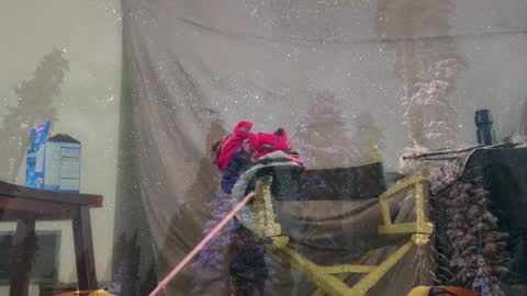 aspiringturtlegirl online show from 03-04-26, 03:40