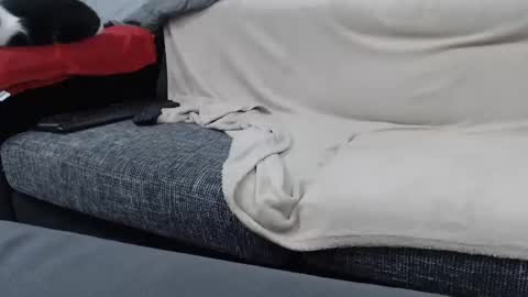 Snapshot of asshunnter chatting on 01-16-25, 06:59 MARCO online show from 01-16-25, 06:59