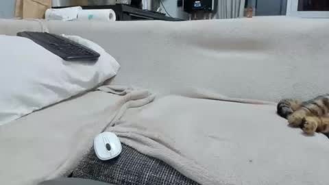 MARCO online show from 12-02-25, 04:57