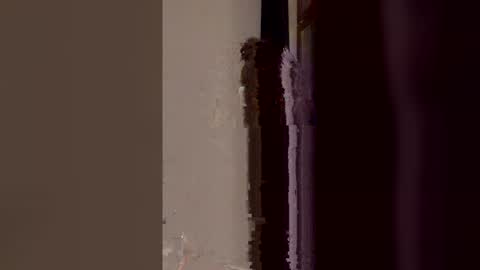Snapshot of asya_new chatting on 05-27-26, 09:34 asya_new online show from 05-27-26, 09:34