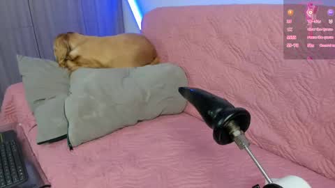 Atalaya  - Jack online show from 04-25-26, 04:59